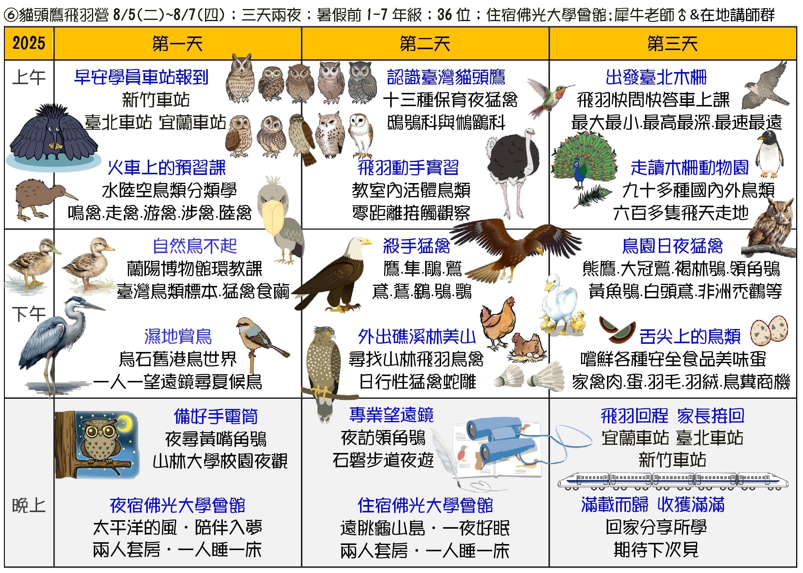【大樹聚島航去】生態素養夏令營-貓頭鷹飛羽營課程