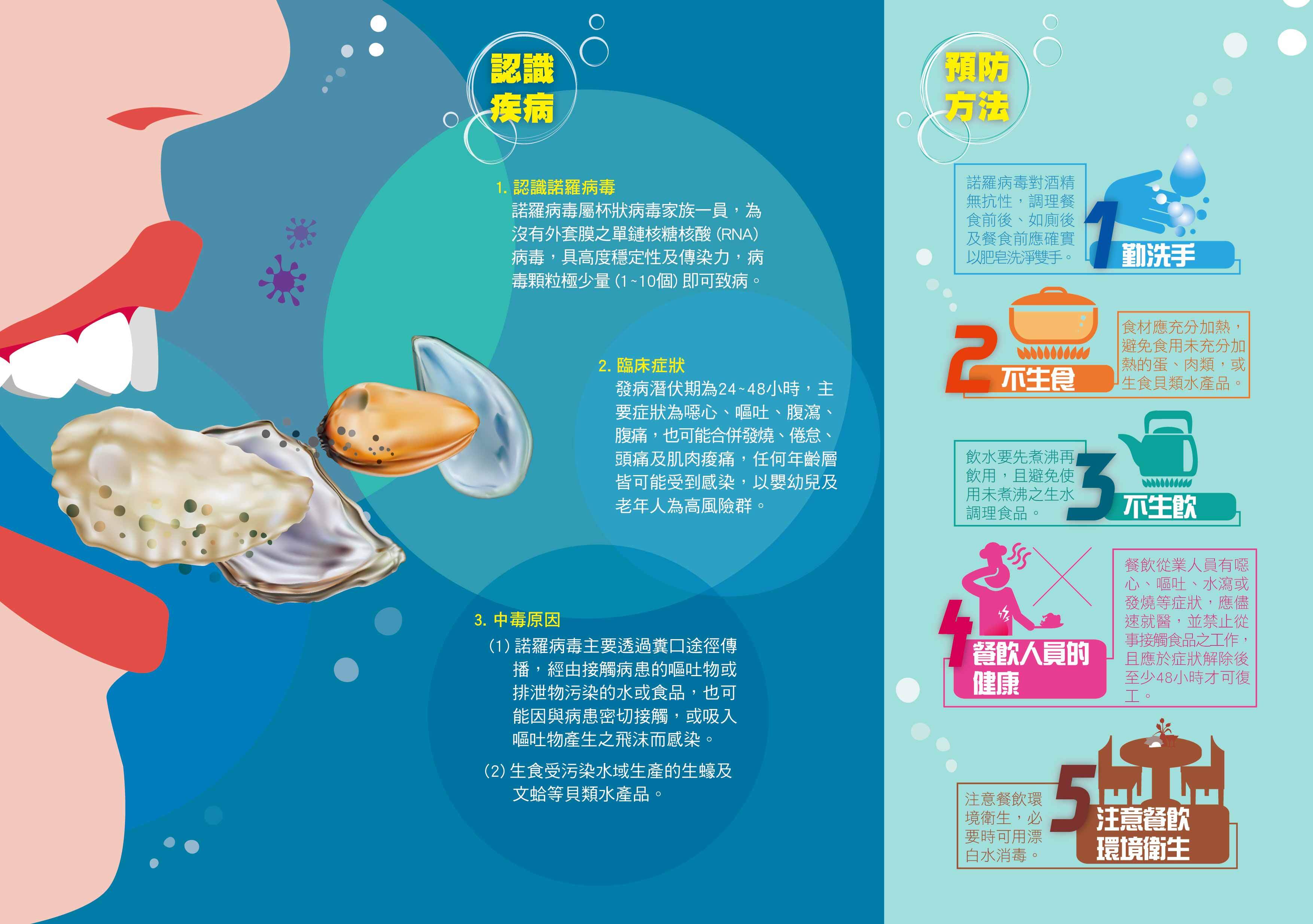 諾羅病毒